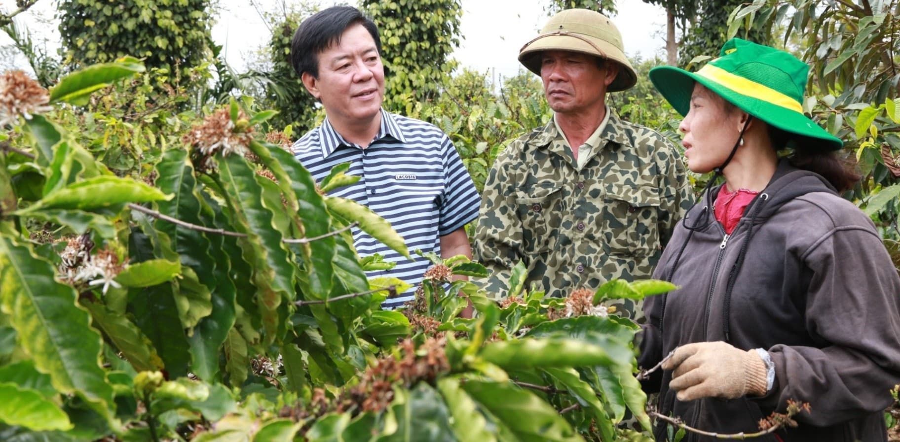 Công ty CP Phân bón Bình Điền: 50 năm đồng hành và sẻ chia cùng nông dân