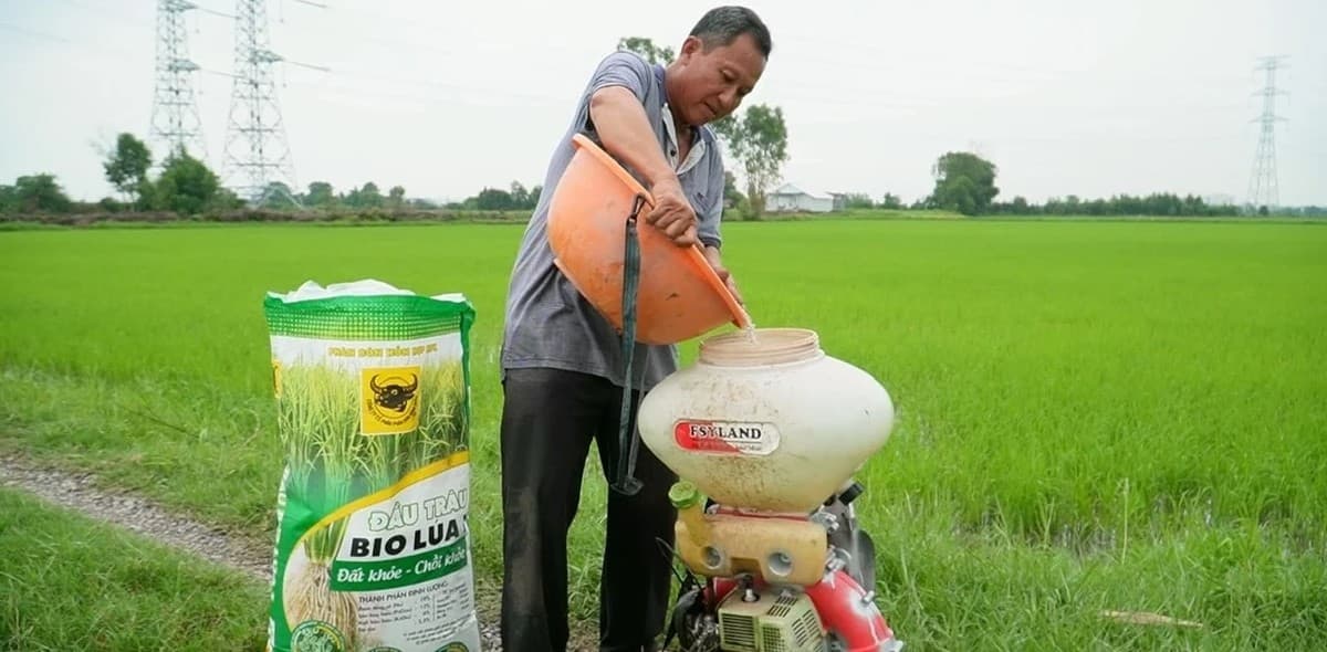 Khi đất được ‘hồi sinh’, cây lúa tự khắc khỏe mạnh