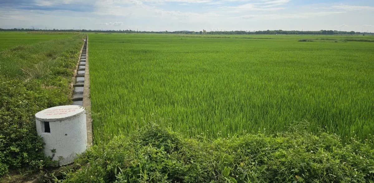 Đồng ruộng sạch vỏ thuốc bảo vệ thực vật