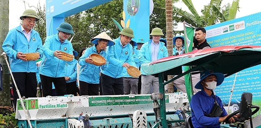 Khi nông dân bắt đầu trồng lúa bằng công nghệ