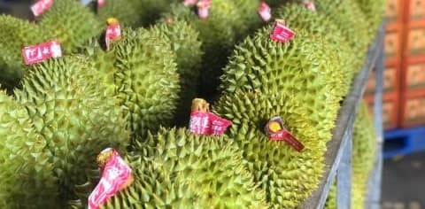 Dự báo xuất khẩu rau quả 2025 lập kỷ lục hơn 8 tỷ USD