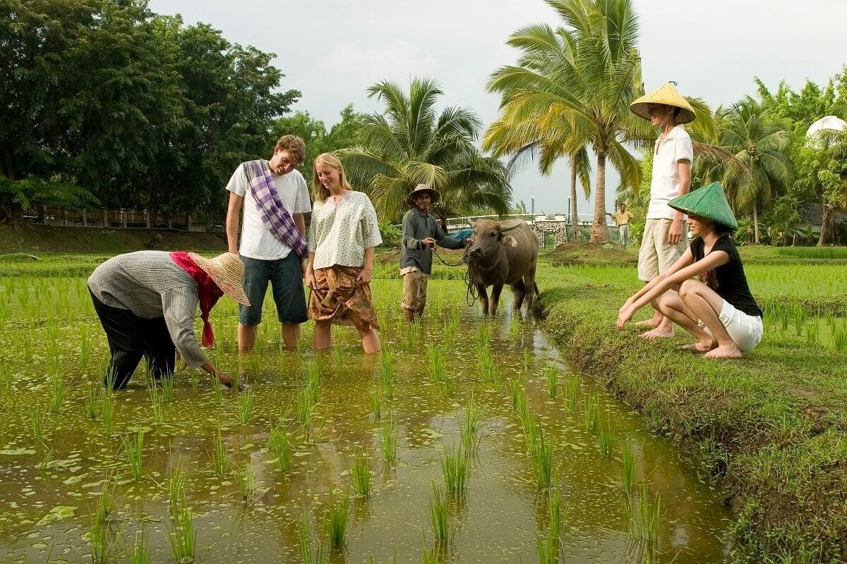 Du lịch nông nghiệp, nhìn từ chiều sâu môi trường