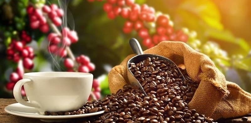 Bản tin nông sản hôm nay (5-3): Giá cà phê giảm mạnh