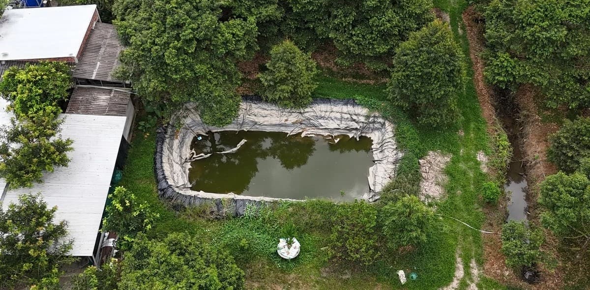 Chủ động trữ nước ngọt, bảo vệ vùng sầu riêng trước hạn mặn