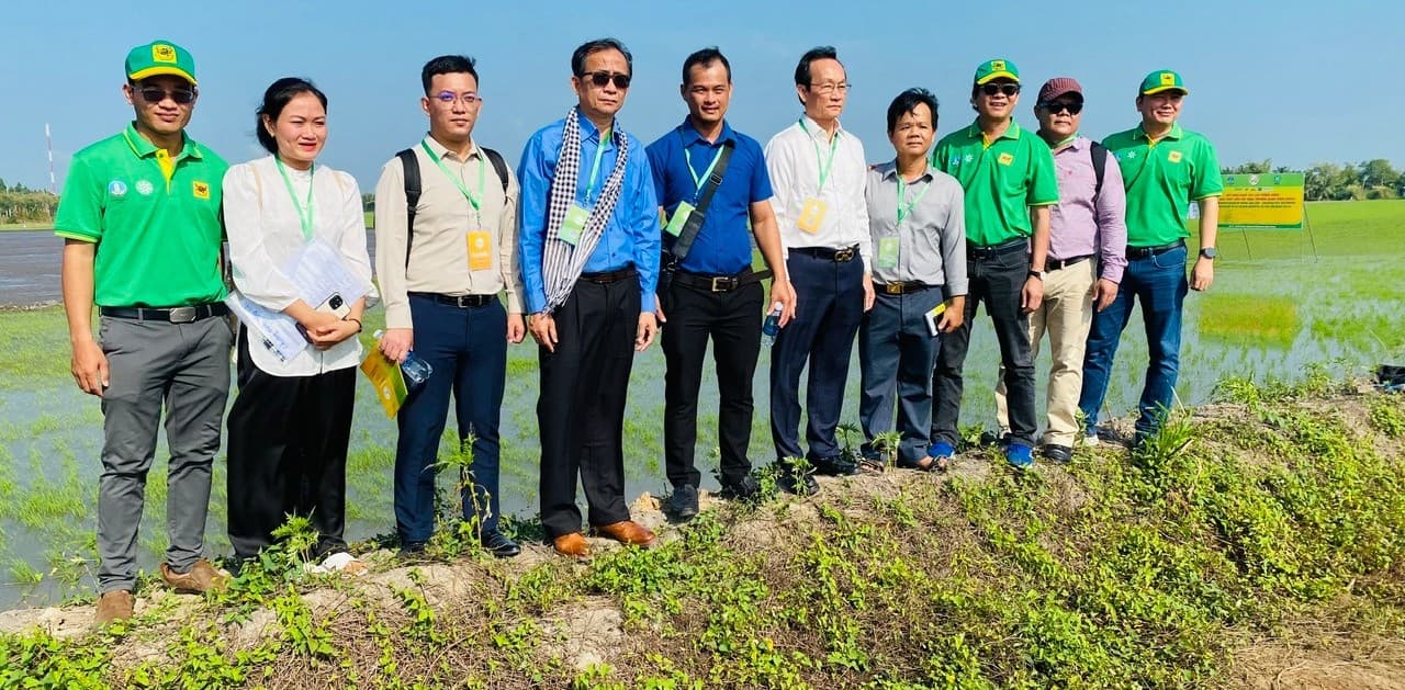 Bình Điền đóng góp ý tưởng cho đề án một triệu ha chuyên canh lúa chất lượng cao