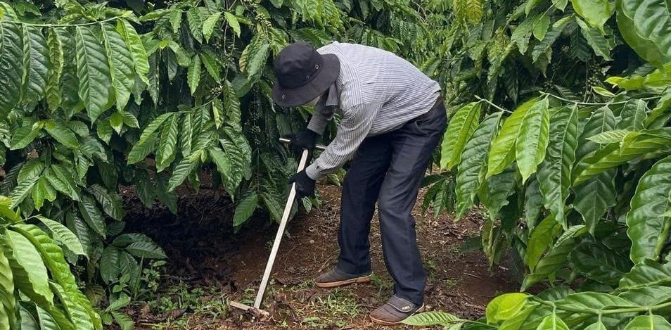 Lời cảnh báo từ đất và định hướng canh tác thông minh