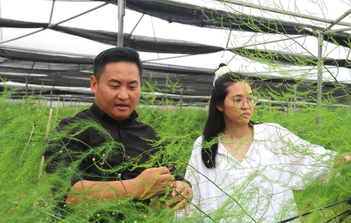 Nông sản công nghệ cao vươn xứ sở kim chi