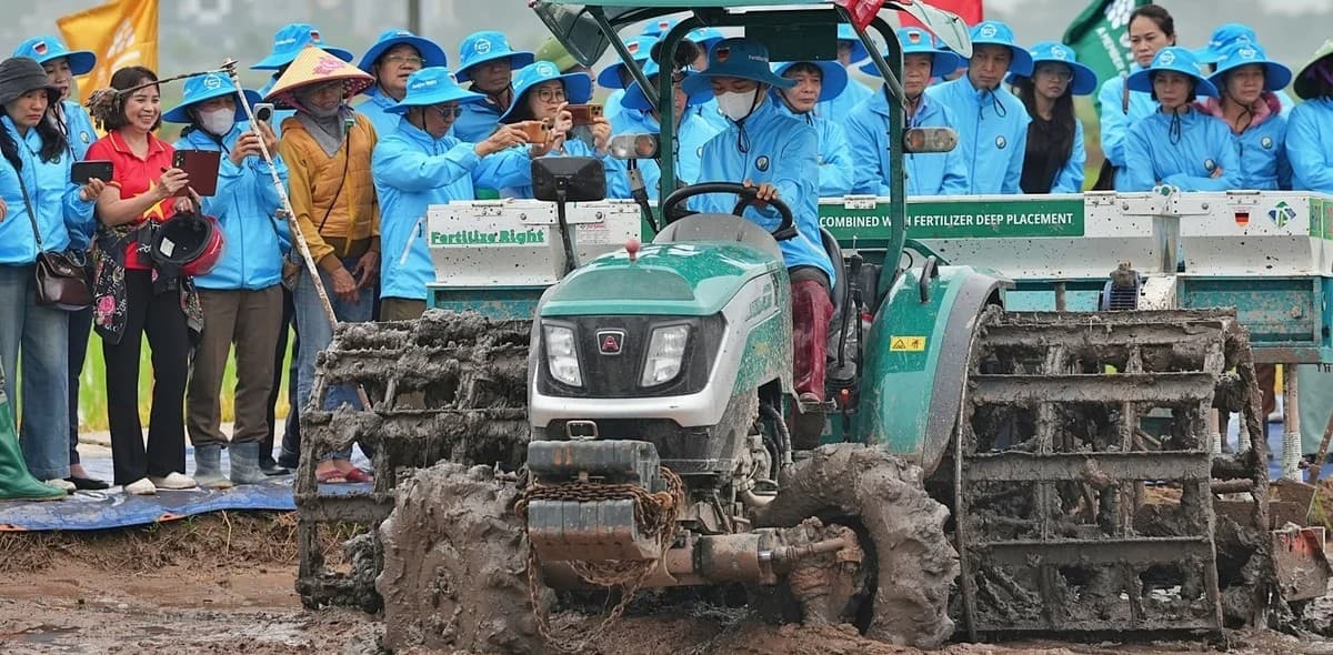 Lúa phát thải thấp ở miền Bắc: Thử nghiệm nhỏ cho bài toán lớn