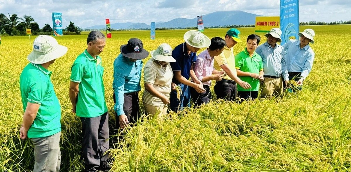 Tập huấn hướng dẫn đo đạc, báo cáo và thẩm định phát thải khí nhà kính